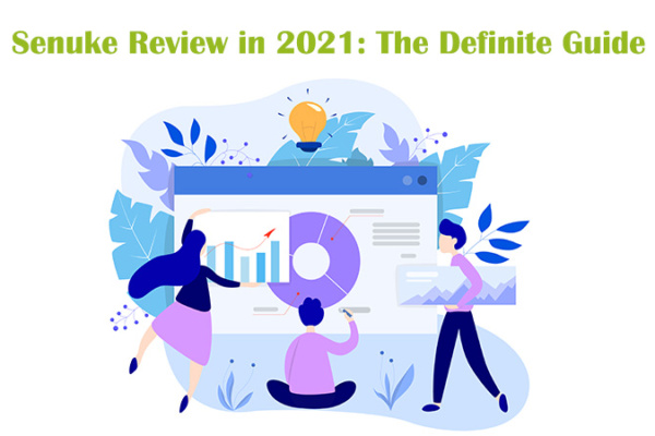 Senuke TNG Review in 2021 [In-depth Analysis] | SEOviser